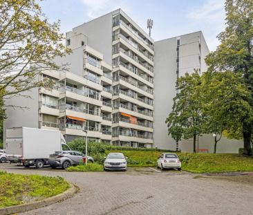 Douvenrade 24 - Photo 3