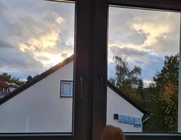 Nachmieter gesucht zum 1.2. in Gevelsberg Schnellkmark - Foto 1