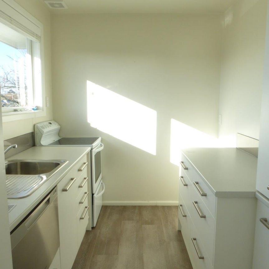 Modern two bedroom apartment in Merivale - Photo 1