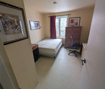 chambre a louer - Photo 3