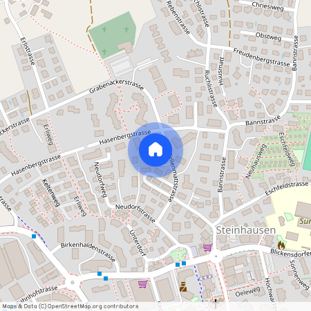 6312, Steinhausen, Tellenmattstrasse, 25