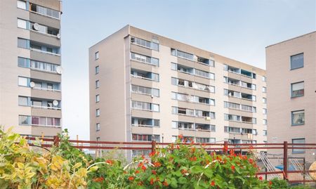 Rissneleden 49 - Photo 5