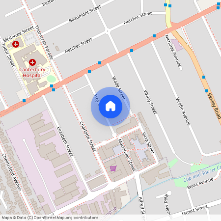 18 Troy Street, Campsie, NSW 2194