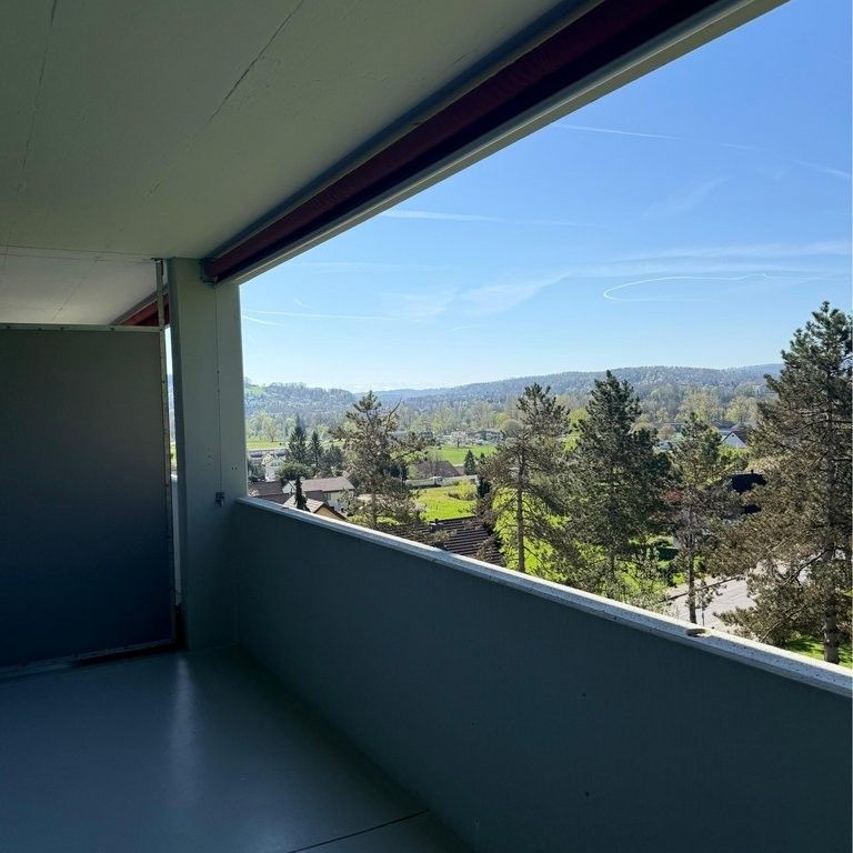 Komfortable 3.5 Zimmer Wohnung in Brugg - Photo 1