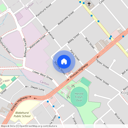 14A Massey St, NSW 2218, Carlton