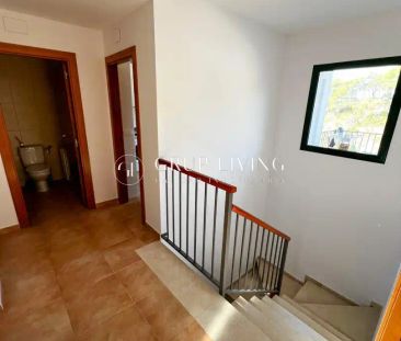 Olivella - Photo 6
