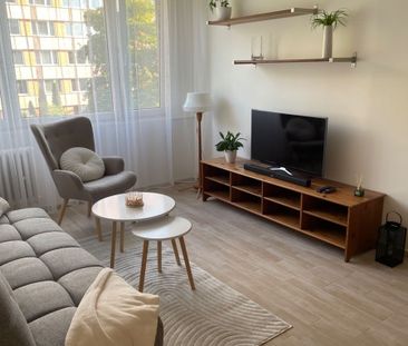 Pronájem bytu 2+kk • 42 m² bez realitkyPujmanové, Praha - Nusle - Photo 3