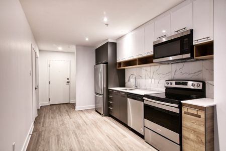 9675 Av. Papineau, app.113, H2B 3C8, H2B 3C8, Montréal - Photo 2