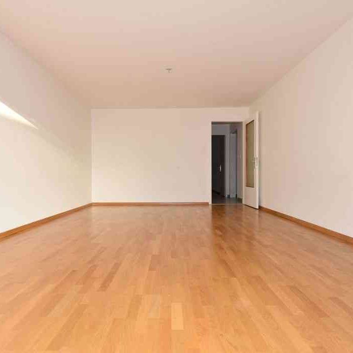 3 Zimmer, 62 m², EG - Foto 1