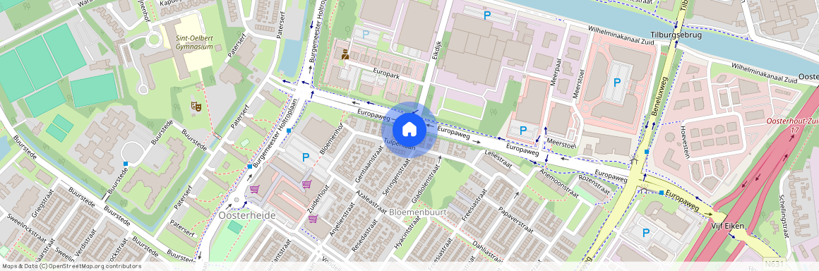 Tulpenlaan 61, Bloemenbuurt, 4904CC, Oosterhout (Nb)