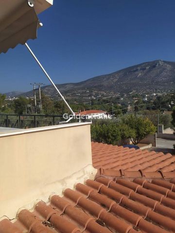 Μονοκατοικία για ενοικίαση Λαγονήσι (Καλύβια Θορικού) - Photo 3