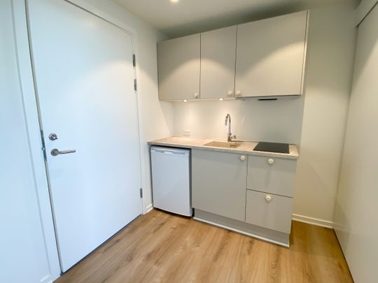 Nyrenoveret 1-værelses lejlighed i roligt område - Photo 1