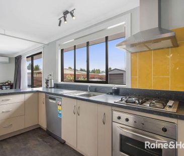 38 Carisbrooke Street, Katikati - Photo 5
