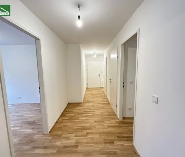 Klimatisierte Wohnung mit großer Terrasse in Ruhelage nahe U3 Kendl... - Foto 2