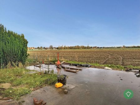 Nieuwbouwwoning te huur in Eernegem – energiezuinig en instapklaar - Photo 2