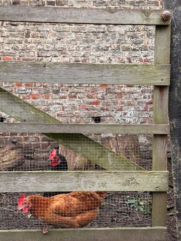 Appartement te huur - Photo 2