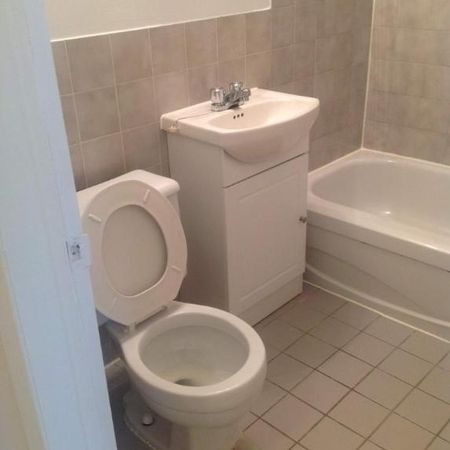 1 CH - 1 SDB - Montréal - $1,300 /mo - Photo 4