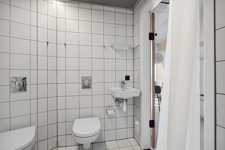 1-værelses Lejlighed på 30 m² i Esbjerg - Photo 4