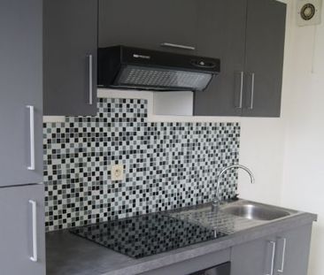 Location Appartement 1 pièce 49m² LYON 8ème - Photo 5