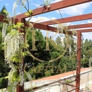 Μονοκατοικία για ενοικίαση Πηγαδάκια (Βούλα) - Photo 1