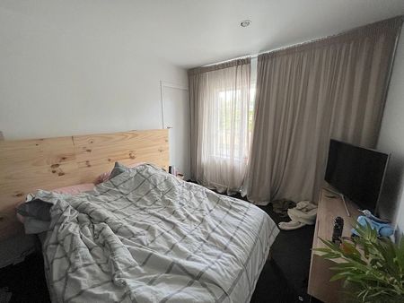 Home of 3 bedroom house and a sleep-out & ensuite - Photo 5
