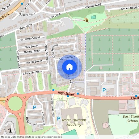 Murray Park, Stanley DH9