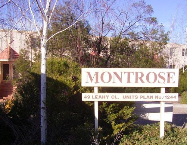 17/49 Leahy Close, Narrabundah ACT 2604 - Townhouse For Rent | Domain - Photo 1