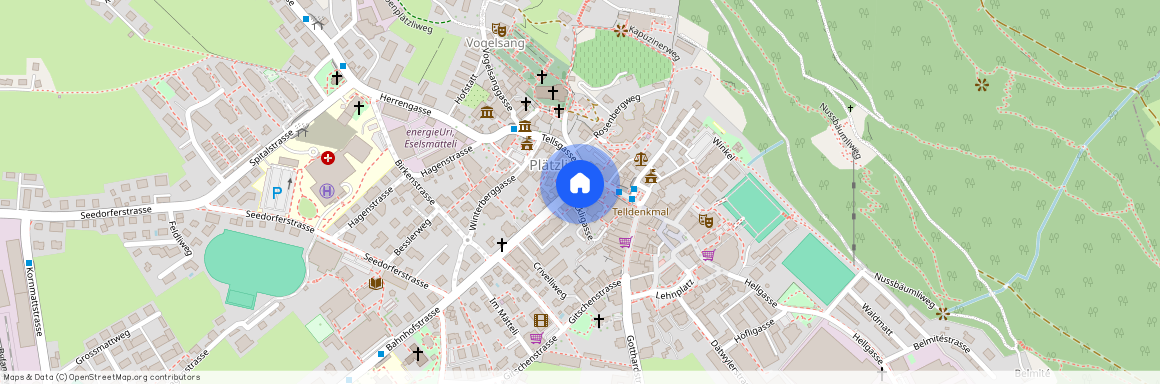 6460, Altdorf UR, Bahnhofstrasse, 1