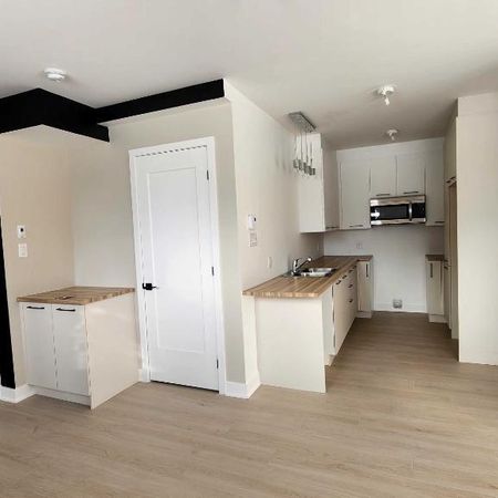 3 1/2 à louer Pointe-Calumet - Photo 3