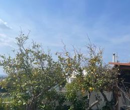 Μονοκατοικία για ενοικίαση - Καλύβια Θορικού, - Photo 4