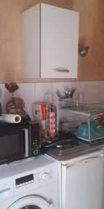 Location Appartement 3 pièces 55m² ST LAURENT SUR SAONE 01750 - Photo 3