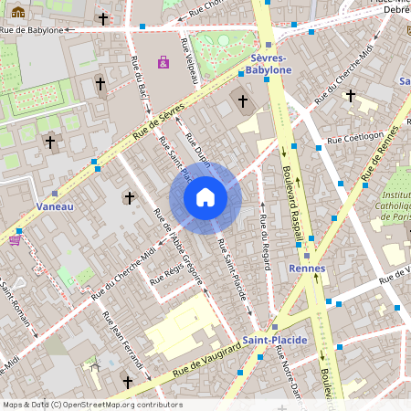 Rue Saint Placide, entre Rue de Rennes et Rue du Cherche Midi 75006 Paris (6e arrondissement)