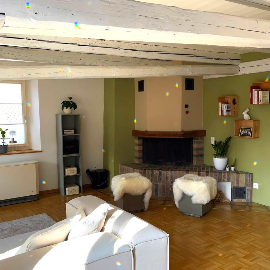 Charmante Altbauwohnung in Schaffhausen - Photo 1