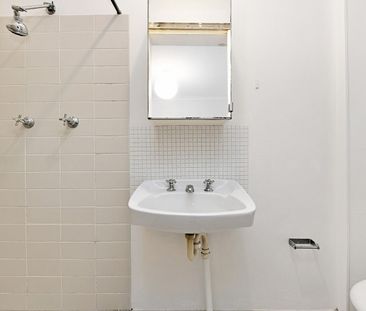 Located Opposite Camperdown Park - Photo 5