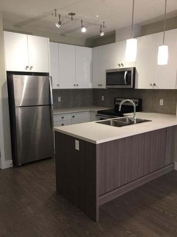 PARALLEL ONE APTS - 111 - P1-111 - Photo 3