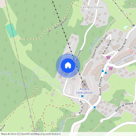 Rue de Bochonès 11, 1972 Anzère