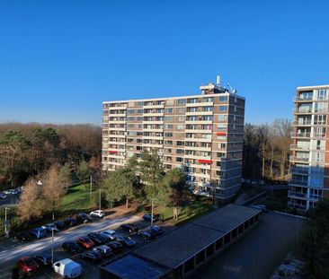 Kluizeweg 266 - Photo 6