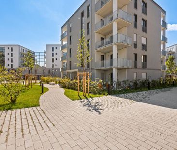 Charmante 1-Zimmer-Wohnung mit EBK - Photo 1