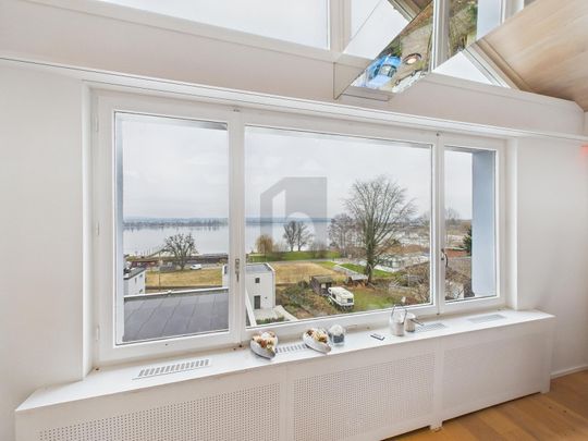 PANORAMIC VIEW OF THE BODENSEE - Photo 1