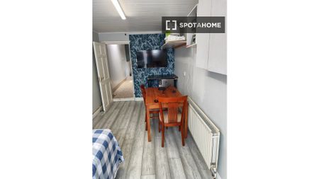 Studio for rent in Dublin - Photo 3