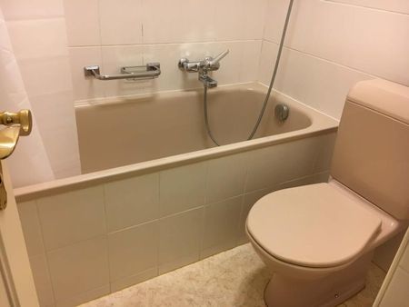 Simon #1 - Experience 60's Charm in Zürich's Green Oasis - Photo 3