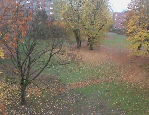 Attraktive helle 3-Zimmer Wohnung mit Balkon in der verkehrsgünstigen Lage mit Blick ins Grüne - Foto 1