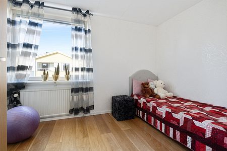 Big cosy terraced house - Photo 2