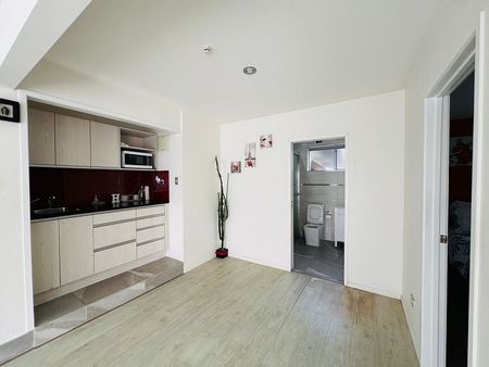 Spacious, Sun-Filled 1 Bedroom Flat - Photo 4