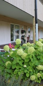 Kullgatan 51 lgh 1108 - Photo 4