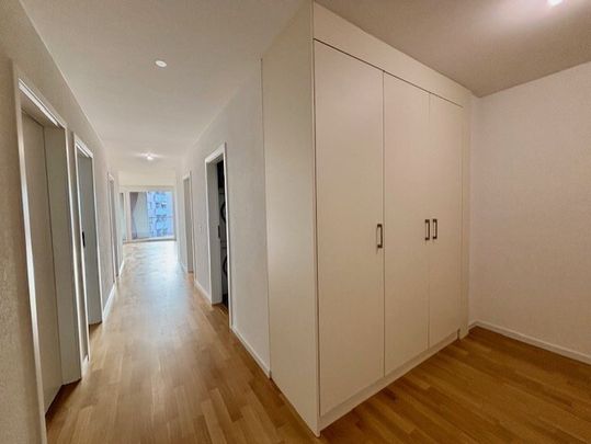 LE TICLE : Appartements à louer - Foto 1