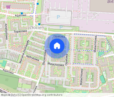 Wynajmę mieszkanie 35 m² – od 1 grudnia 2025 - Фото 1