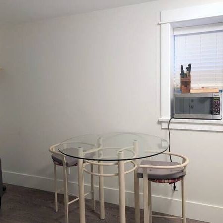 Furnished Garden Suite for Rent in Vancouver's Main Street Area #858 - Photo 3