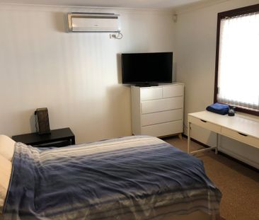 Australind - Photo 4