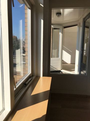 Lodewijk Napoleonplein - Foto 4